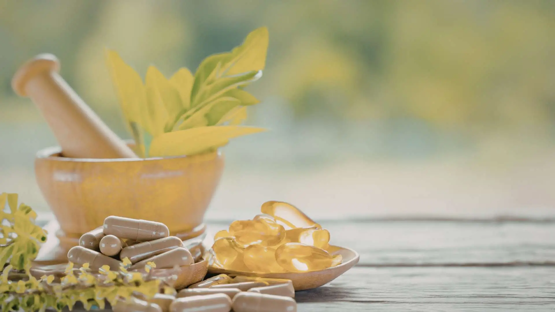 Gélules compléments alimentaires et pilon en bois avec plantes