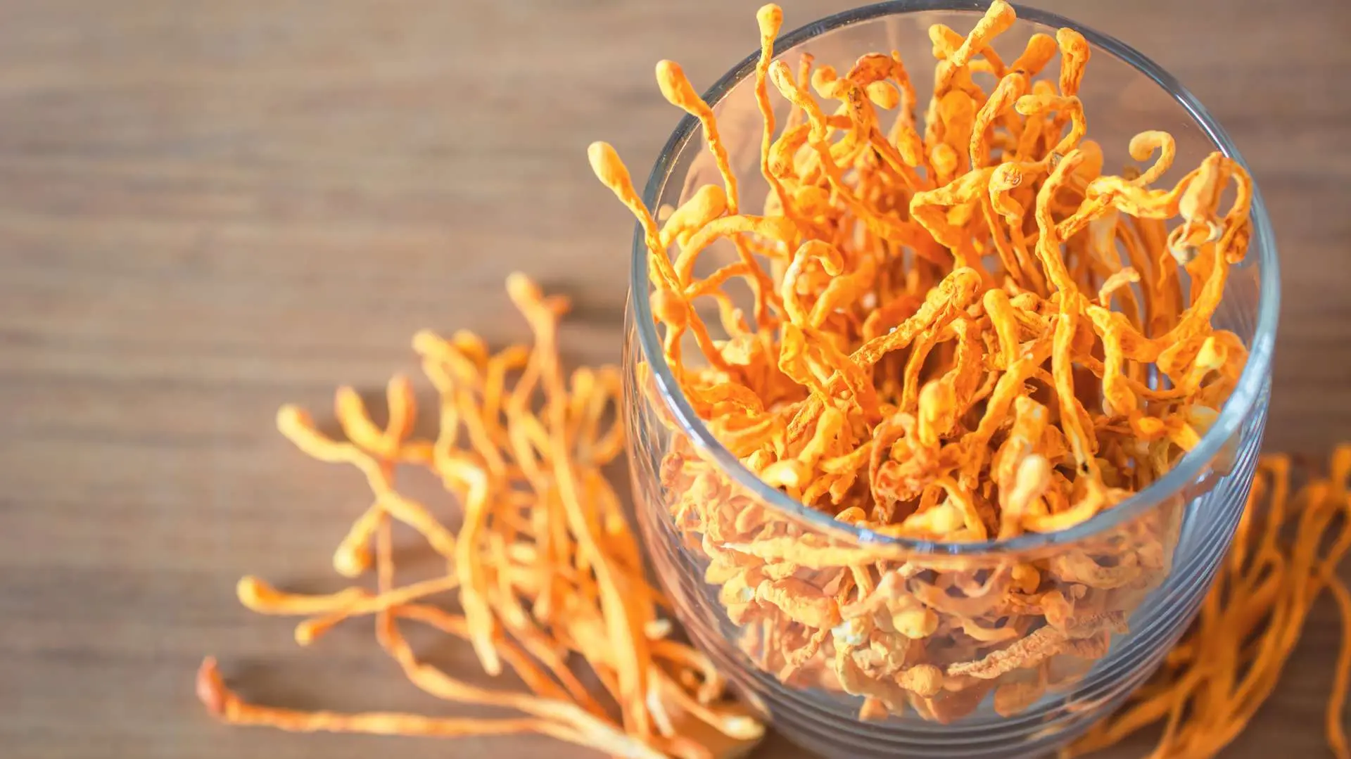 Fleur de champignon cordyceps militaris séchée dans un verre et sur une table en bois